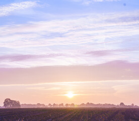 sunset over the river