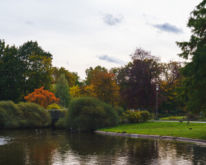 Fototapeta premium autumn in the park