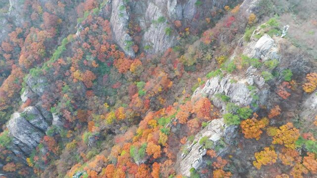 Drone footage of Daedun-Mountain, Mountain in Korea with yellow and red autumn colors, Beautiful and healing majestic scenery