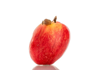 One red apple, macro, isolated on white background.