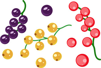 Colorful Currant Berries Illustration, Fruit Clipart, Food Graphic