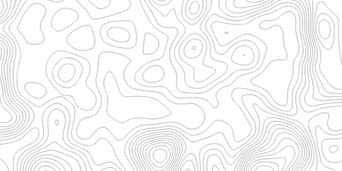Vector lines pattern seamless sea map topography design. White wave paper curved reliefs Contour maps