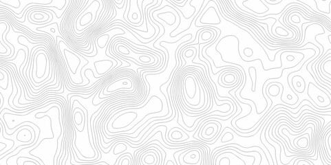 Vector lines pattern seamless sea map topography design. White wave paper curved reliefs Contour maps