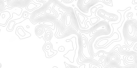 Vector lines pattern seamless sea map topography design. White wave paper curved reliefs Contour maps
