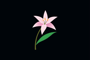 Zephyranthes flower template design vector art illustration

