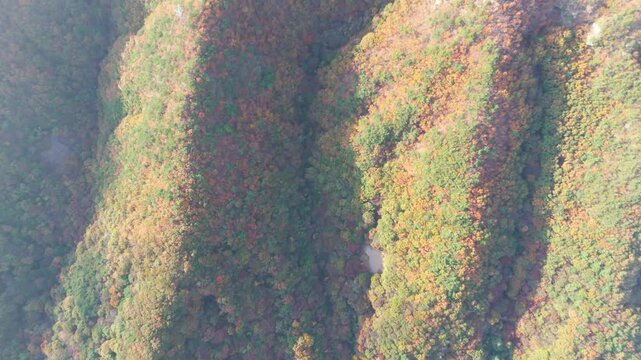 Drone footage of Daedun-Mountain, Mountain in Korea with yellow and red autumn colors, Beautiful and healing majestic scenery