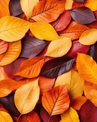 A vibrant collection of autumn leaves in shades of orange, yellow, and red, arranged in a visually appealing pattern on a textured background.