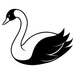 Fototapeta premium black swan vector