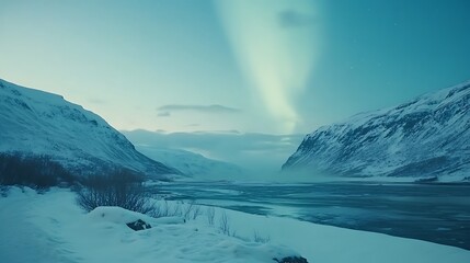 Naklejka premium Ethereal Radiance: Northern Lights Grace the Wintry Horizon