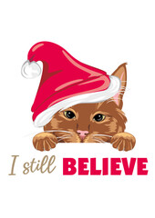 Cute peeking ginger cat in Santa hat. I still believe
