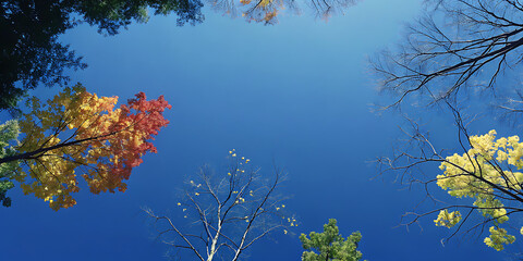A vibrant blue sky serves as a backdrop for a collection of trees, their branches reaching upwards with leaves in various shades of yellow, red, and green.