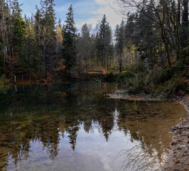Obraz premium Fall forest in mountains with reflections