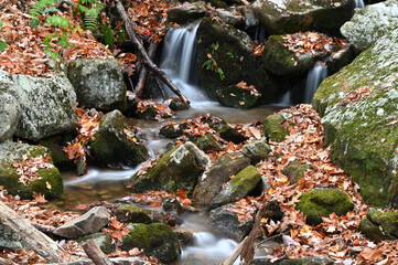 Cascading mountain stream in the woods by a trail in Shenandoah National Park, Blue Ridge Parkway Virginia