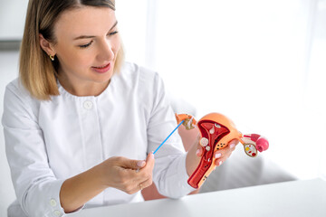 The gynecologist shows the structure and principle of operation of the ovaries on the anatomical model of the uterus