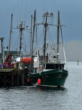 Fishing Boats moored along the harbour waterfront, Ucluelet, Vancouver Island, Vancouver, British Columbia, Canada
