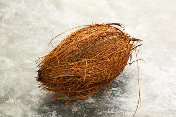 Natural exotic brown hairy coconut