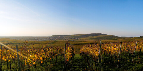 Burkheim vom Kirchberg aus