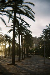 Obraz premium Mallorca Analógica