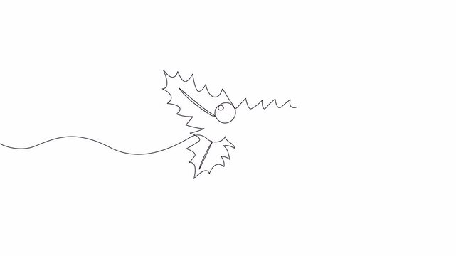 Video. Mistletoe holly drawing with one continuous line. Symbol for Christmas New Year greeting card. Animation on white background. 4K.
