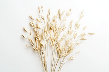 Beautiful Arrangement of Dried Oats on White Background