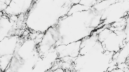 Obraz premium High-resolution seamless white marble texture for art and design purposes.