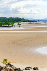 Outstanding view from Yule Point on Coral See sandy coastline in Queensland, Australia. It is situated 10 km south of Port Douglas.
