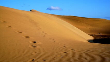 Footprints on the side of a golden sand dune with textures, curves and shadows. In the background blue sky and isolated clouds