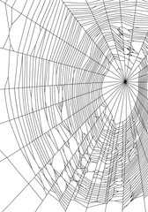 Vector drawing of outline spider's web silhouette in black color, on white background