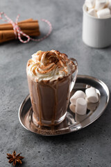A rich glass of hot chocolate with whipped cream and cinnamon with marshmallows on a silver tray. 