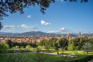 Florence skyline from a garden