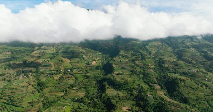 Agriculture and farmland view from above in a mountainous area near the Canlaon volcano. Negros, Philippines
