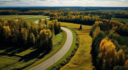 Fototapeta premium aerial view of the roads with forest, road with trees and green nature