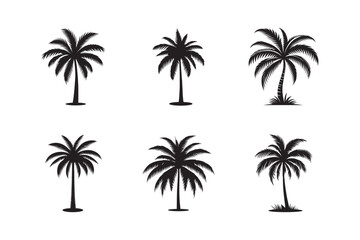 Black palm tree sets icon isolated on white background. Palm icon silhouettes. Design of palm tree.