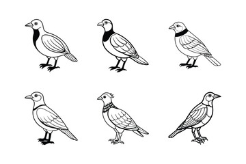 Birds set icon black and white royalty free vector icon silhouettes. Dove Icon on Black and White Vector Background.	