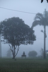 amanhecer com nebina em belterra, pará 