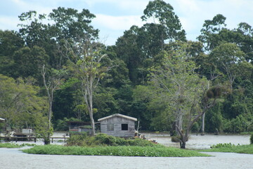 casas ribeirinhas nas margens do rio amazonas, pará 