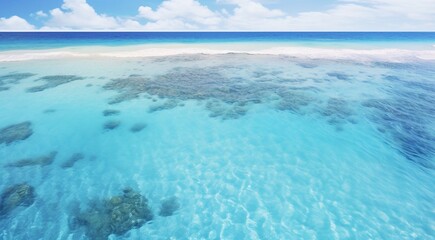 Obraz premium coral blue water background, oceanic view of coral blue water, underwater life