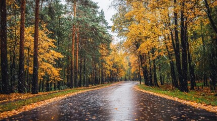 Obraz premium Captivating autumn drive through a vibrant forest path adorned with colorful leaves and rainy atmosphere