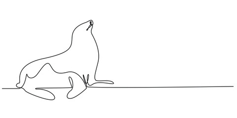 continuous line drawing of seal.one line drawing of wild seal animal.single line vector illustration.isolated white background