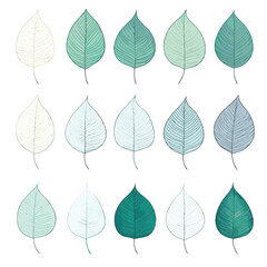 Fototapeta premium seamless pattern with leaves