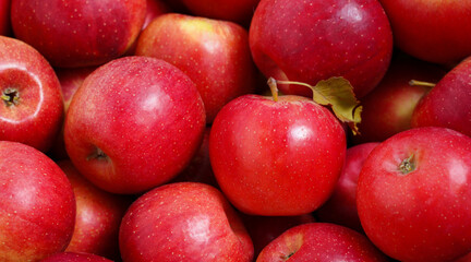 Red apples background. Tasty and juicy. High quality photo.