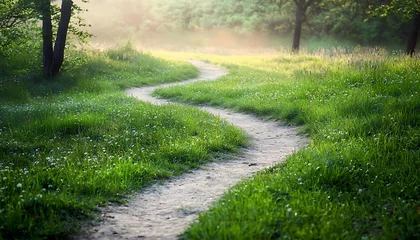 Scenic path winding through a grassy field at dawn, captured in a natural spring summer landscape.
