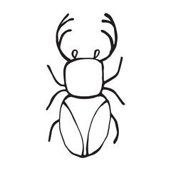 Coloring page of a beetle, bug. Insect outline vector, icon. Hand drawn doodle style, Isolated black line on white.