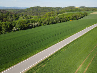 Aerial view of a landscape with green cereal fields, a road and forest trees in spring