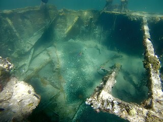 Plongée sous-marine, épave, bateau, fonds marins, plongée, poisson