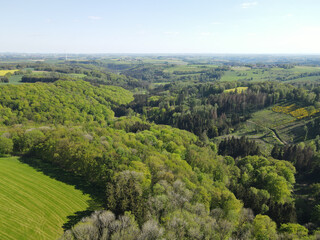 Aerial view of a forest in spring