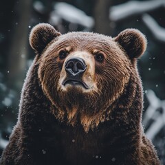 Fototapeta premium Close-up of a majestic grizzly bear in its natural wild environment