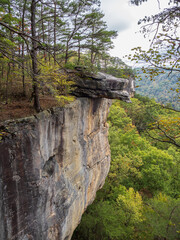 Fototapeta premium Rock formations along the Endless Wall Trail in New River Gorge National Park, West Virginia, showcase the rugged beauty of this popular hiking destination.