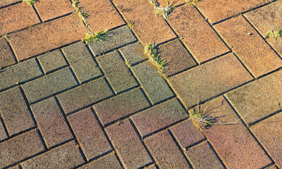 Brick Cris Cross Pattern with Grass Growing in the Cracks.