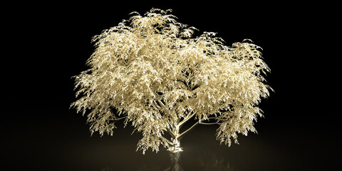 Golden tree standing out against black background